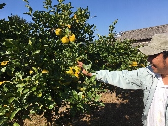 ki7bb4Vr2YnuIAv0nQf2.jpg?w=940&h=940