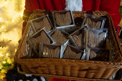 kiDXvD1rRNYxB08VdEW3.jpg?w=940&h=940