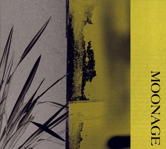 kiHE1gI1BipuFEZnBHDD.jpg?w=940&h=940