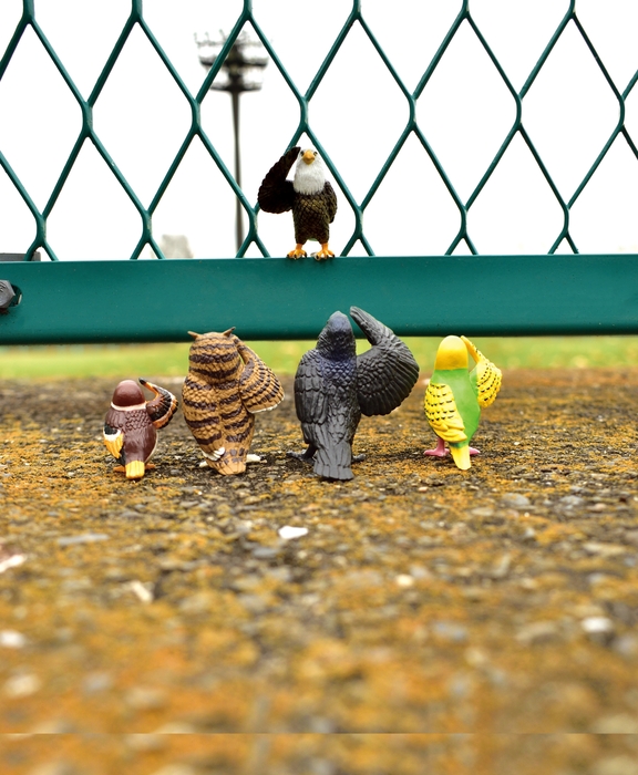 大人気の「敬礼」シリーズに鳥さんが登場!手ごろな価格で全部集めたくなる♪