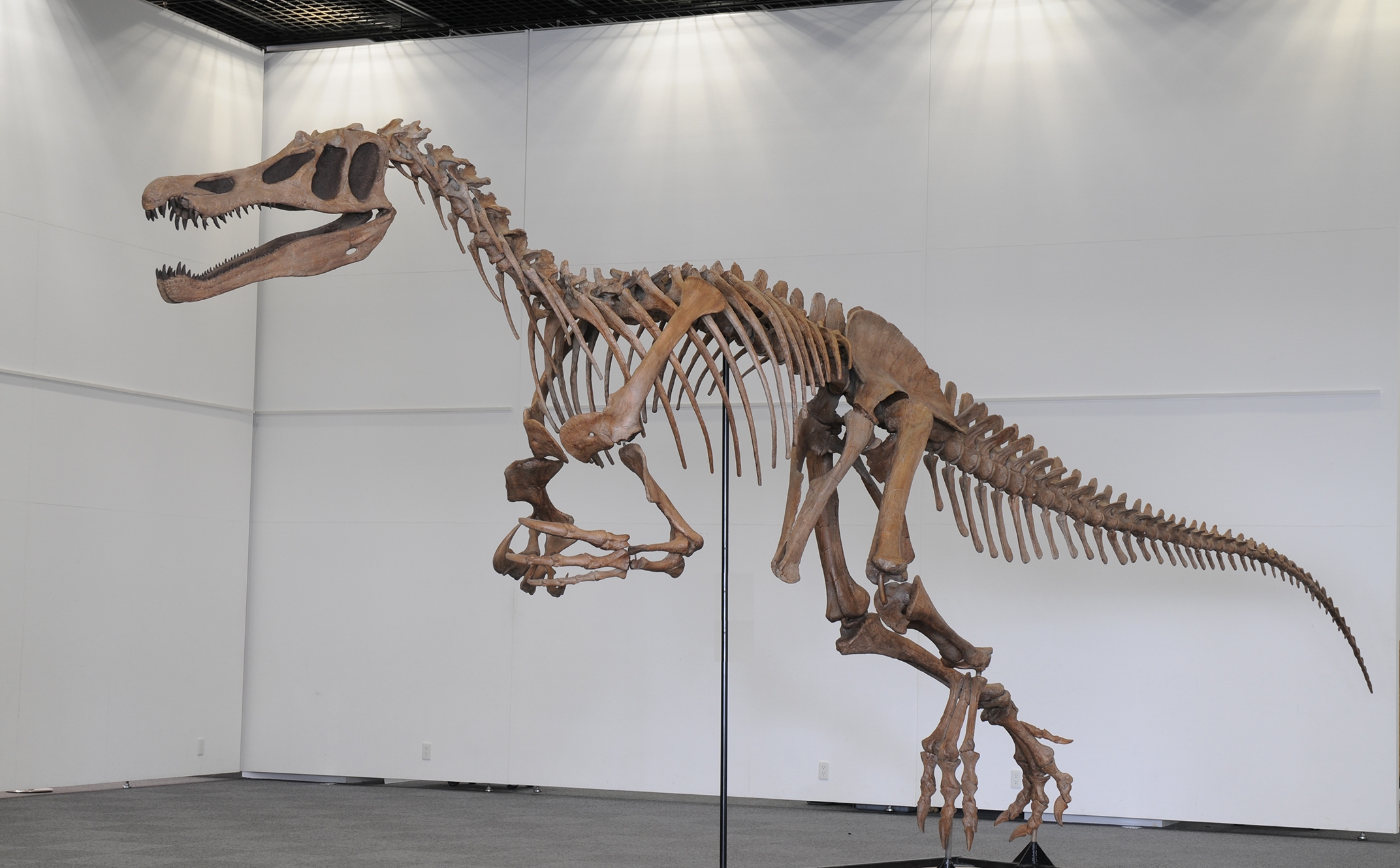 バリオニクス(前期白亜紀)