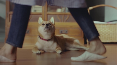 kjdkIpZZpD5c8tGXcFu2.jpg?w=940&h=940