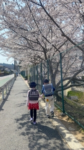 kk3cAhkZkZ9g1R5w1AAs.jpg?w=940&h=940