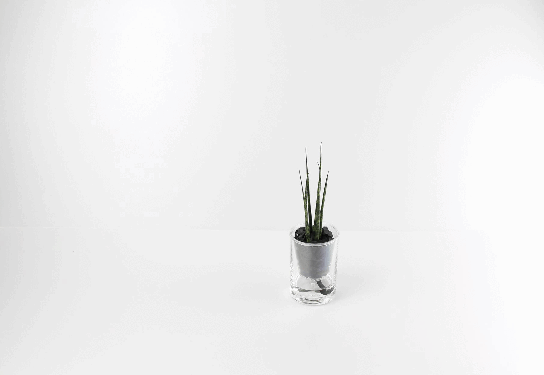 通常パッケージとギフトパッケージ