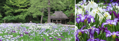 klnj0aUWr2sSKJtYzd3M.png?w=940&h=940