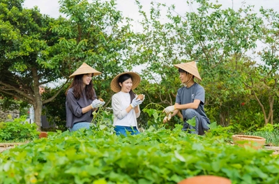 kmtcXSulpRbBjIr88q9g.jpg?w=940&h=940