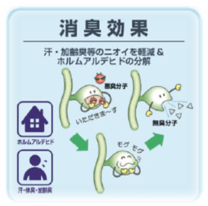 消臭効果