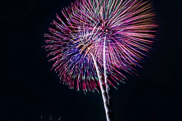 冬の星空に大輪の花　麗澤瑞浪花火大会
