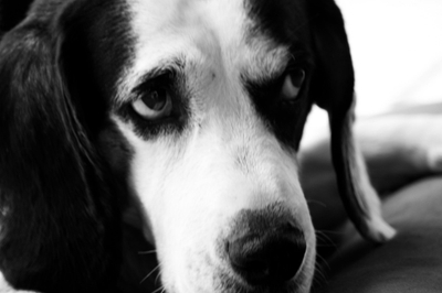 kosNtkv2c0jwz9a3TFjS.jpeg?w=940&h=940