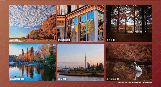 2026年10月30日（金）より募集スタート 秋のTOKYOInstagramフォトコンテスト2026