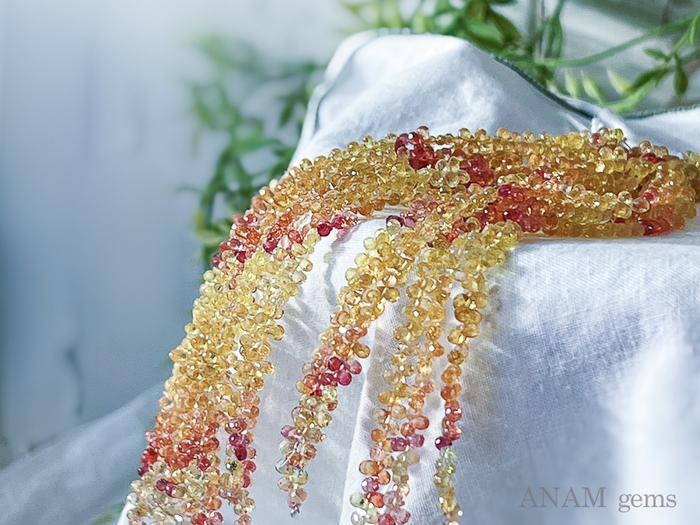 2022年4月27日(水)〜2022年5月17日(火)西武池袋本店本館3F=イベントNEWS