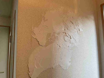 ksFLxYQYkU7APeU1ssmw.jpeg?w=940&h=940