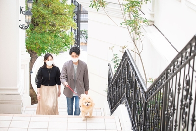 ktLTnuViMhoZADfqxwVt.jpg?w=940&h=940