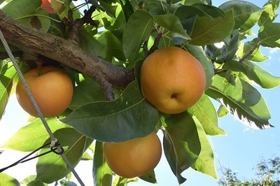 ktzW18ukSqnnJPeuCdzg.jpg?w=940&h=940