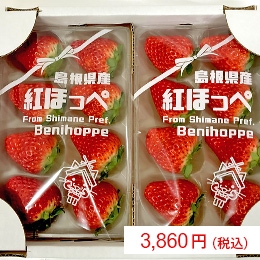 ku0Uq9UIv08h0uZCf4n8.jpg?w=940&h=940