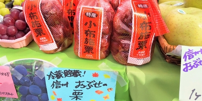 kulrGM5V9su8DP8mgVsU.jpg?w=940&h=940