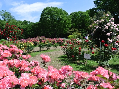 kupM5SfkiKDWVy4Ow2JP.jpg?w=940&h=940