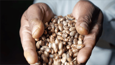 kvvr1RVx9ETjXP1TTiPl.png?w=940&h=940