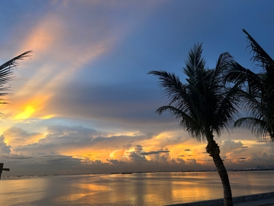 kxsDTCNJUu6vDTFRZX4A.jpg?w=940&h=940