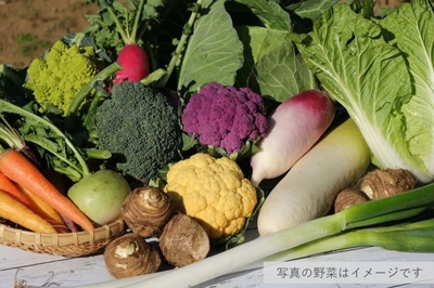 kyN2NKhUpvDUtjuxjUVU.jpeg?w=940&h=940