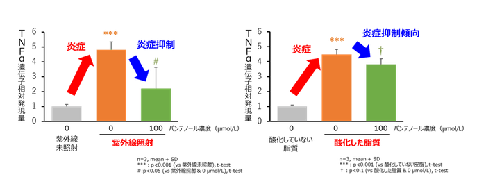 図3 表皮細胞における紫外線及び酸化した脂質による炎症に対するパンテノールの抑制作用