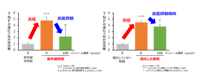 図３ 表皮細胞における紫外線及び酸化した脂質による炎症に対するパンテノールの抑制作用