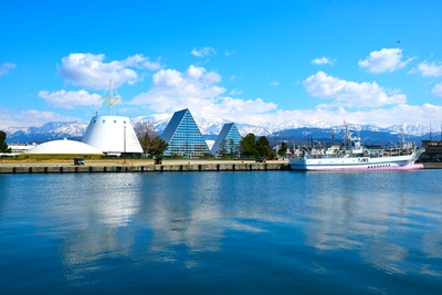 kzON0ZLH6yj7uCSqcDtE.JPG?w=940&h=940