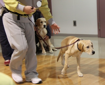 kzW3ptR8JstTNUYfaTln.jpg?w=940&h=940