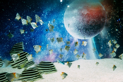 kzfH5Q7YyHu5Vzr1XdpW.jpg?w=940&h=940