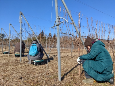 kzmjMCl0l22cC3X9meOb.jpg?w=940&h=940