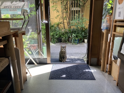 l0XNlbchI4SXJmhWAVrf.jpeg?w=940&h=940