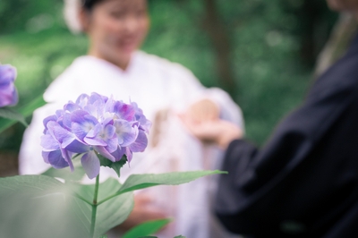 この時期ならではの紫陽花と和装前撮りが楽しめる