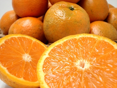 l1GCVEPWDN0Rru1wxx0L.JPG?w=940&h=940