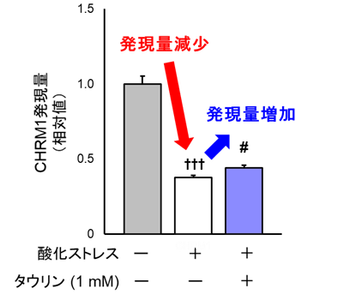 l1ka0SlFb7mRFIxNzIm2.png?w=940&h=940