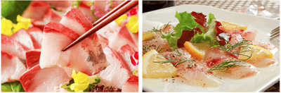 l2P35uIYJkqBnMJIfVHQ.png?w=940&h=940