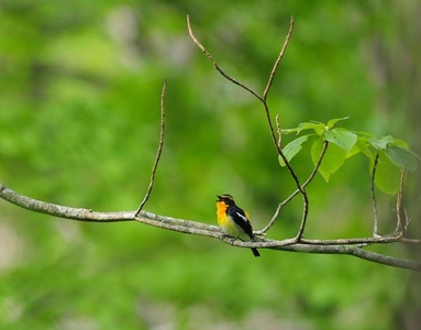 l2jrt44LpxmqnRwx6sAR.jpg?w=940&h=940