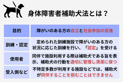 l3Eqp54scsboReNh9aPZ.png?w=940&h=940