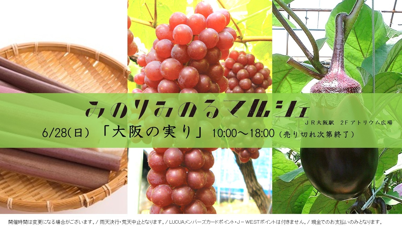 JA全農×JR西日本　地域振興プロジェクト　JR大阪駅で大阪の旬が集結　「みのりみのるマルシェ　大阪の実り」開催（6/28）