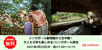 l5RxfZy2stixBntZsCLp.png?w=940&h=940