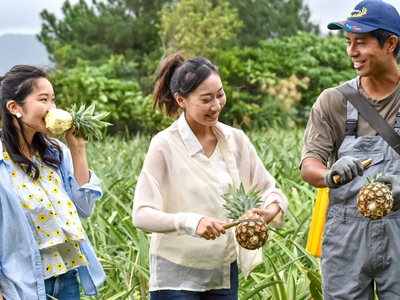 l5itVarXajMbCO2poh9M.jpg?w=940&h=940