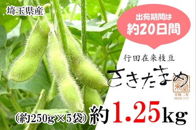 l6QuVa1CTMSFbeSj3nhk.jpg?w=940&h=940