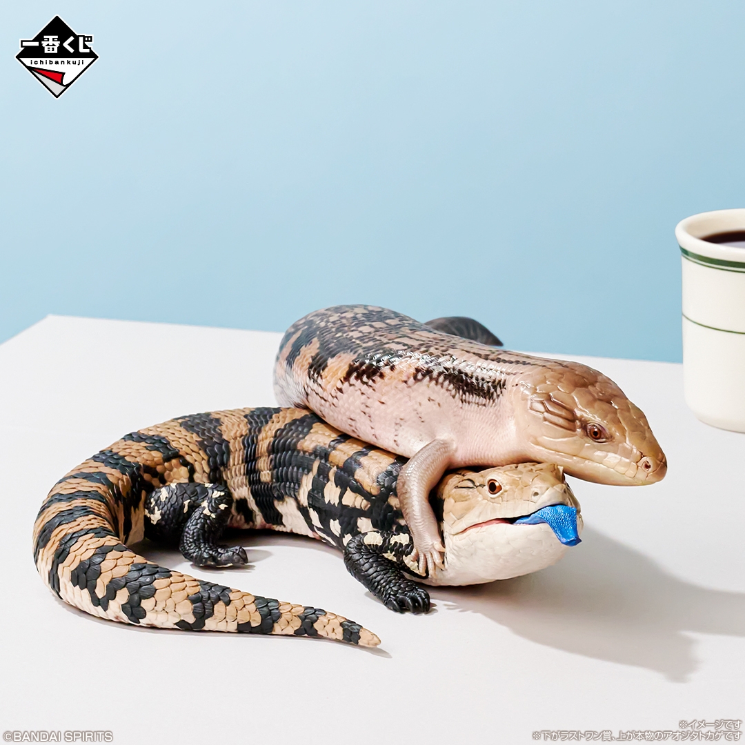 ラストワン賞:アオジタトカゲ フィギュア べぇ(イメージ1)