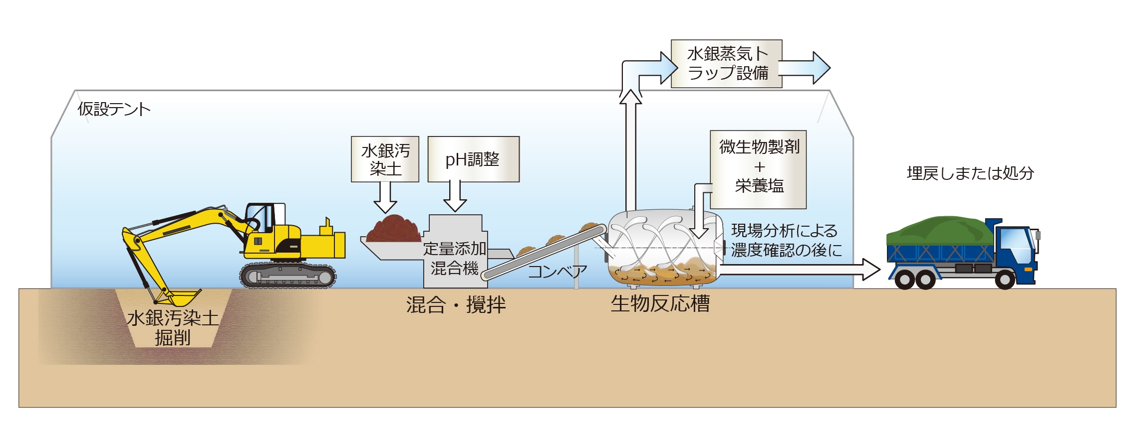 図 1 :鉄酸化細菌による水銀汚染土壌浄化のイメージ