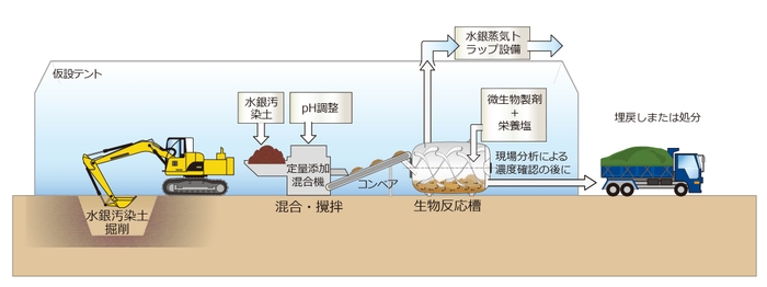 図 1 :鉄酸化細菌による水銀汚染土壌浄化のイメージ