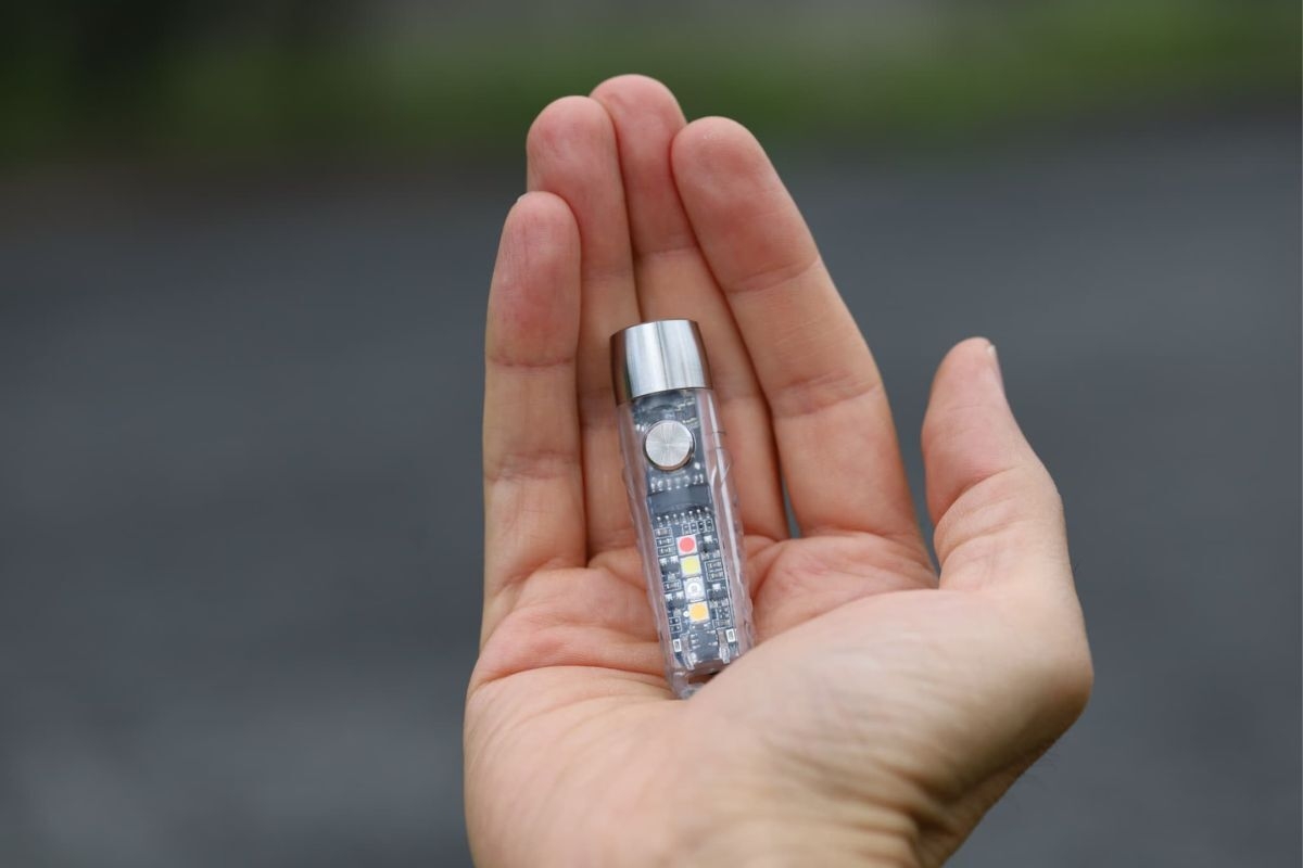 親指サイズ。約6.2cm