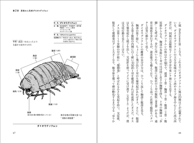 ダイオウグソクムシ