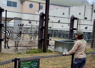 l888TS25KDeozru58wHm.jpg?w=940&h=940