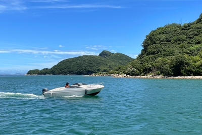 l8Nbtyw1TKJHGfvmb5cz.jpg?w=940&h=940