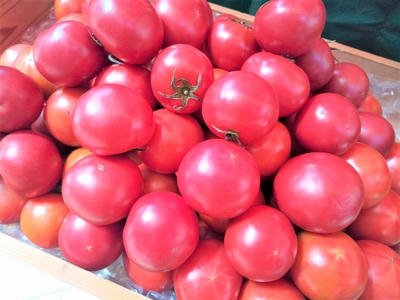 l8y9ic1e4JyQv89lOQhR.jpg?w=940&h=940