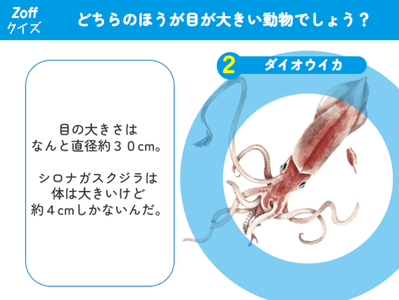 l9SovtUKfvEa7RenBmpy.png?w=940&h=940